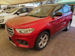 GWM Automatic 2020